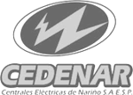 Cedenar